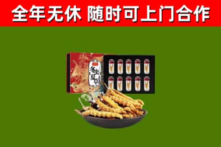 当涂烟酒回收冬虫夏草礼盒.jpg
